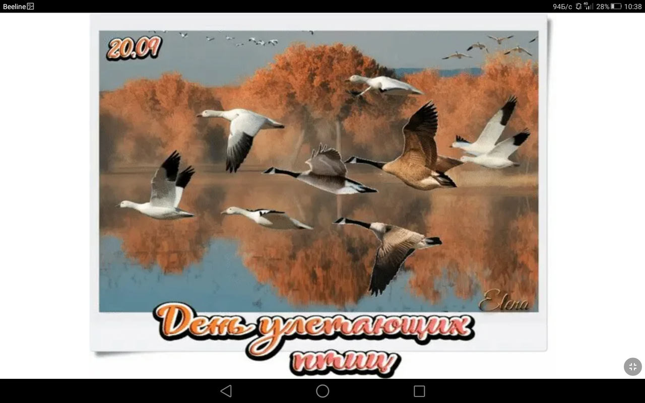 Screenshot_2023-09-20-10-38-53