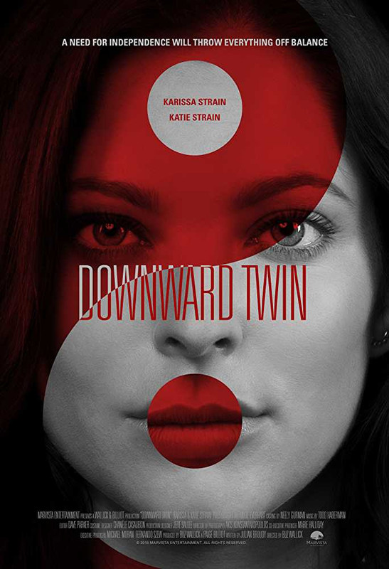 18 Downward Twin 2018 Movies HDRip x264 5 1 with Sample rDX