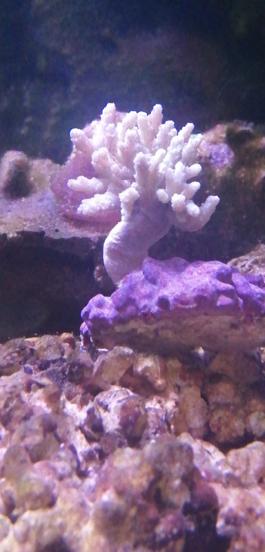 A1E71EEE-4495-4FDF-9EC1-A716C121B66A