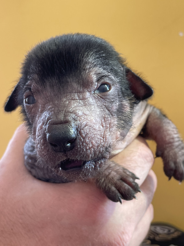 FAEB1881-B04B-4AE4-B990-D8890612DC1A