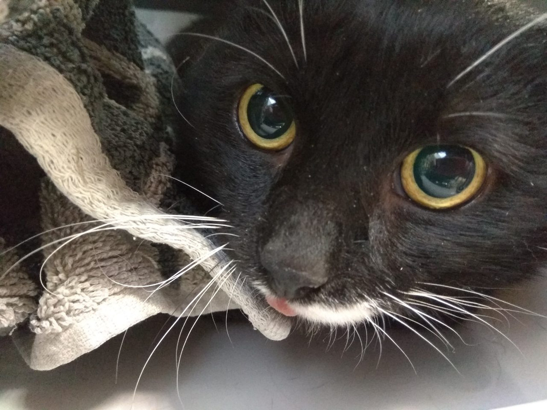 перед операцией1