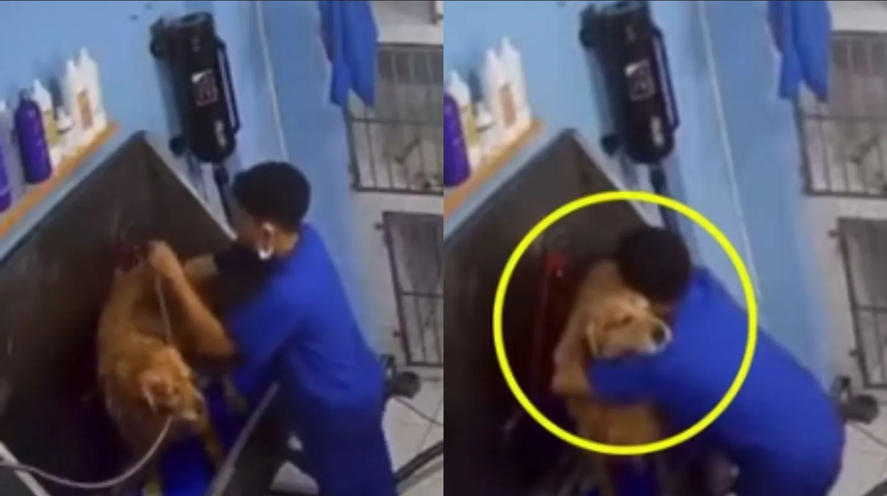 Trabajador de Spa Canino baila con perrito y se hace viral