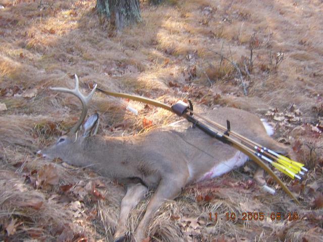 Bow Deer 2005 007