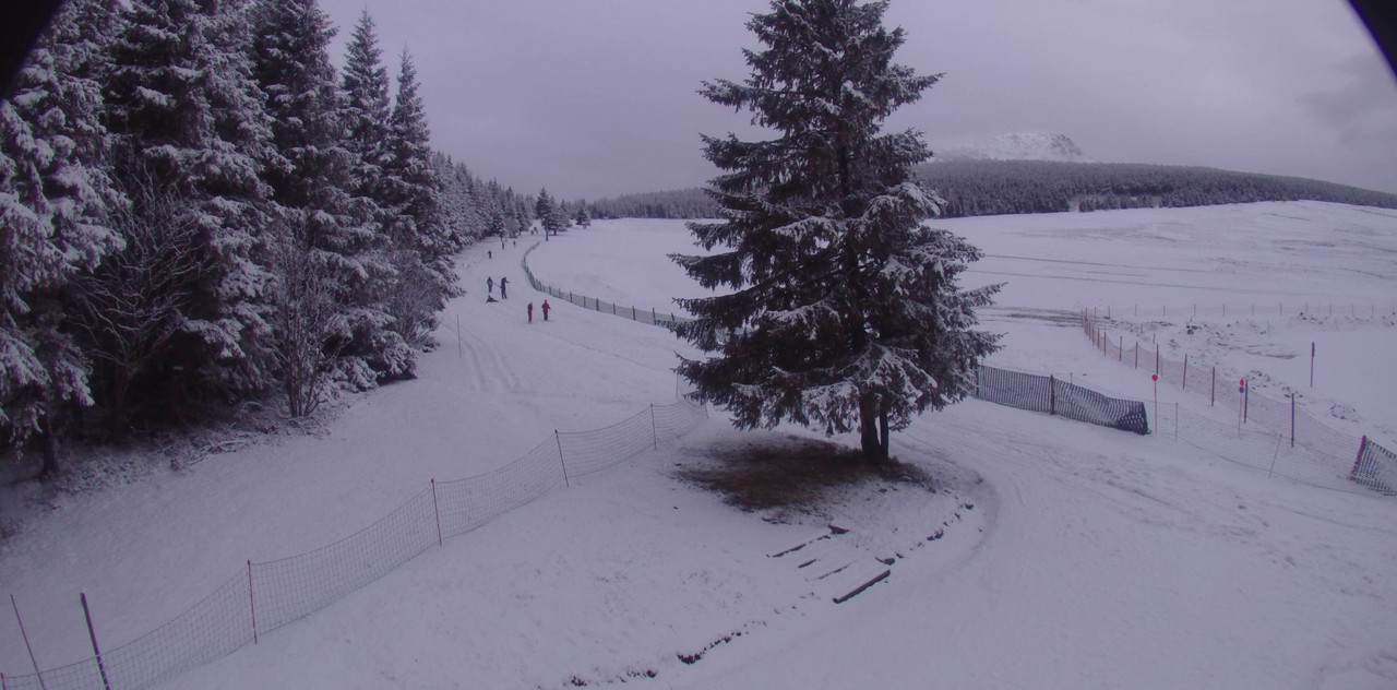 les-estables-ski-nordique-2025-03-10-17-