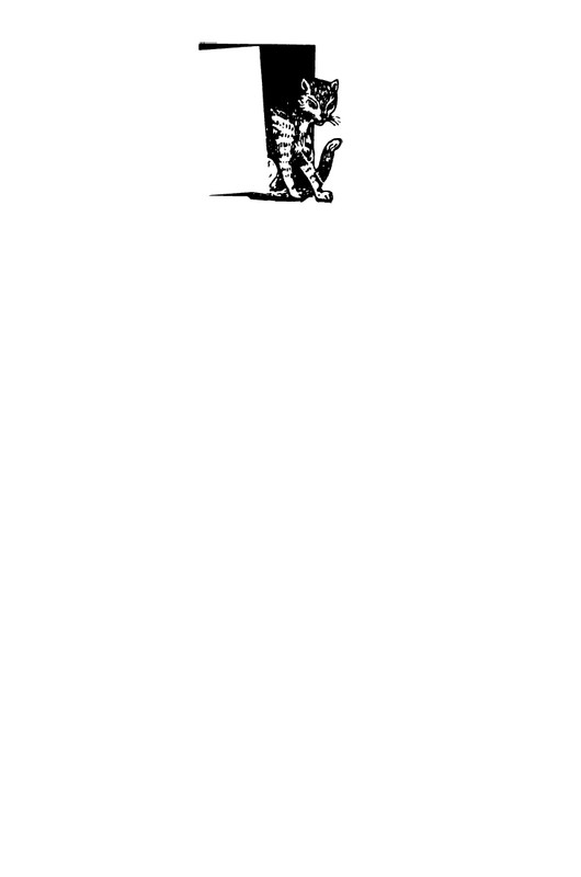 2017-page-0002