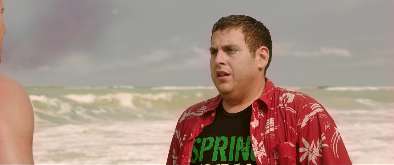 22 Jump Street 2014 (1080p x265 10bit Tigole).mk