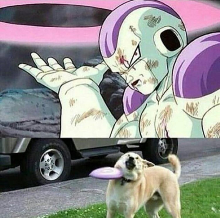 151-dragon-ball-z-frieza-meme.jpg