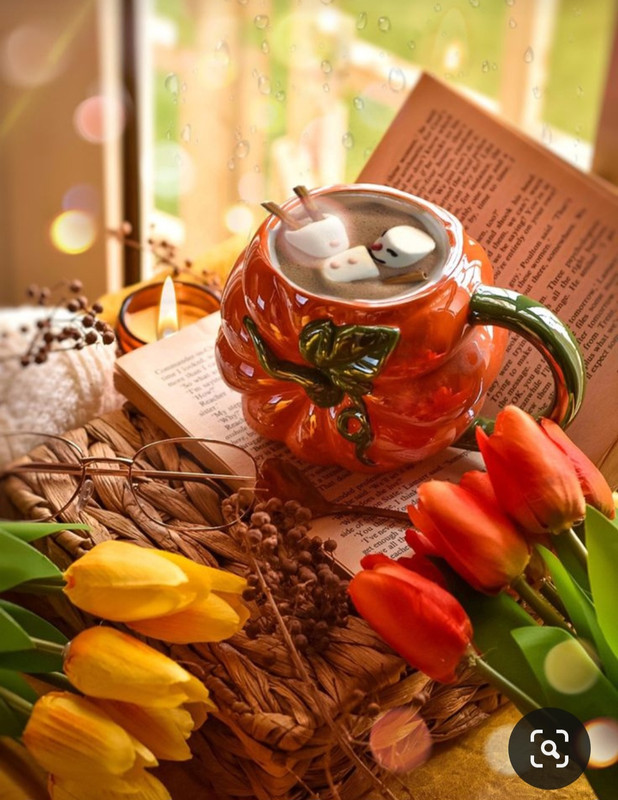 Screenshot_20231031_163417_Pinterest