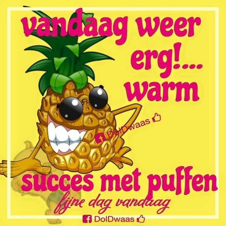 3-A954-E7-A-13-C8-4495-8-D51-D8043659990-C