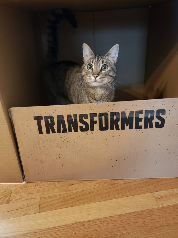 HasLab-War-for-Cybertron-Unicron-Production-Update-3-05