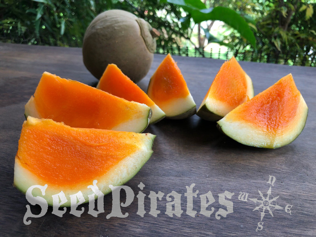 5DE3EB79-E44E-45E1-941B-C4A0E9A5A33E