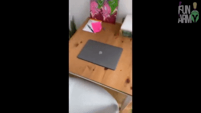 LIKE-A-BOSS-COMPILATION-49.gif