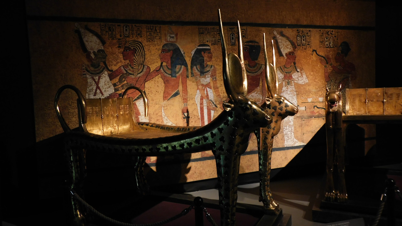 ВДНХ июнь 2023 056