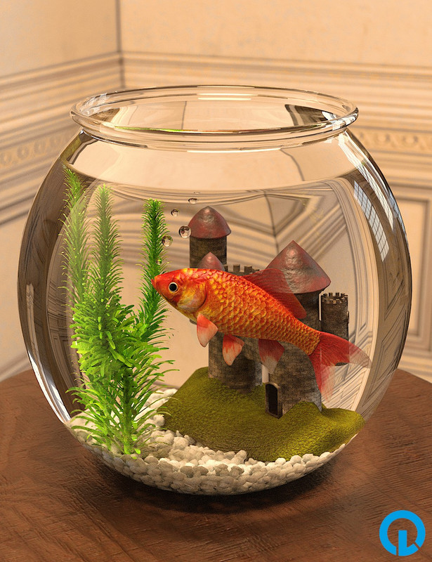 Goldfish and Props Goldfish and Props