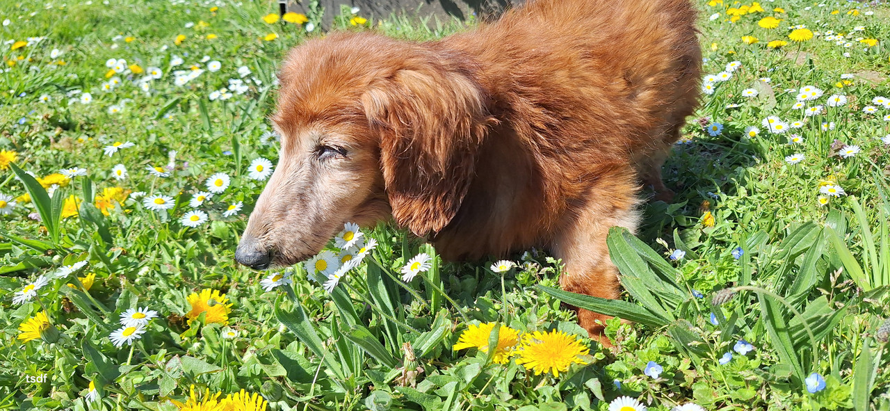 [Image: 20250408-121632.jpg]