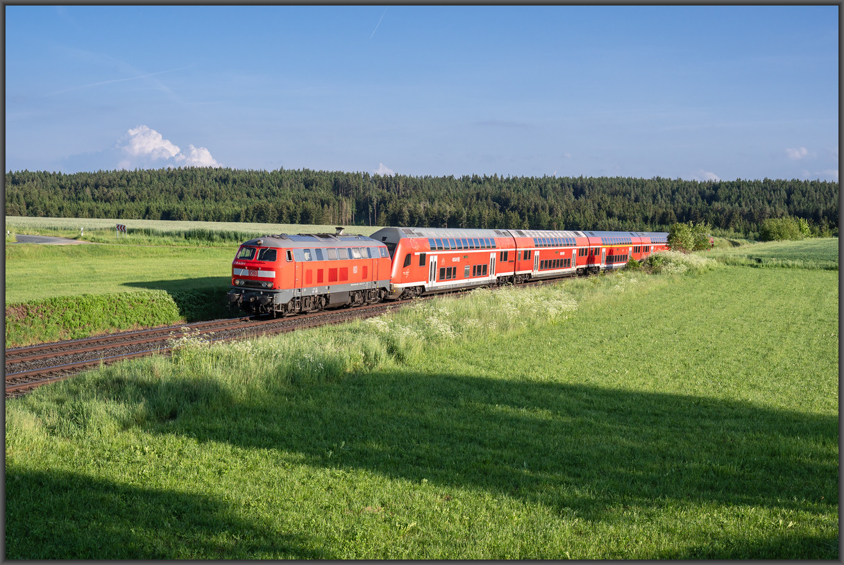 20260530 DSC1041
