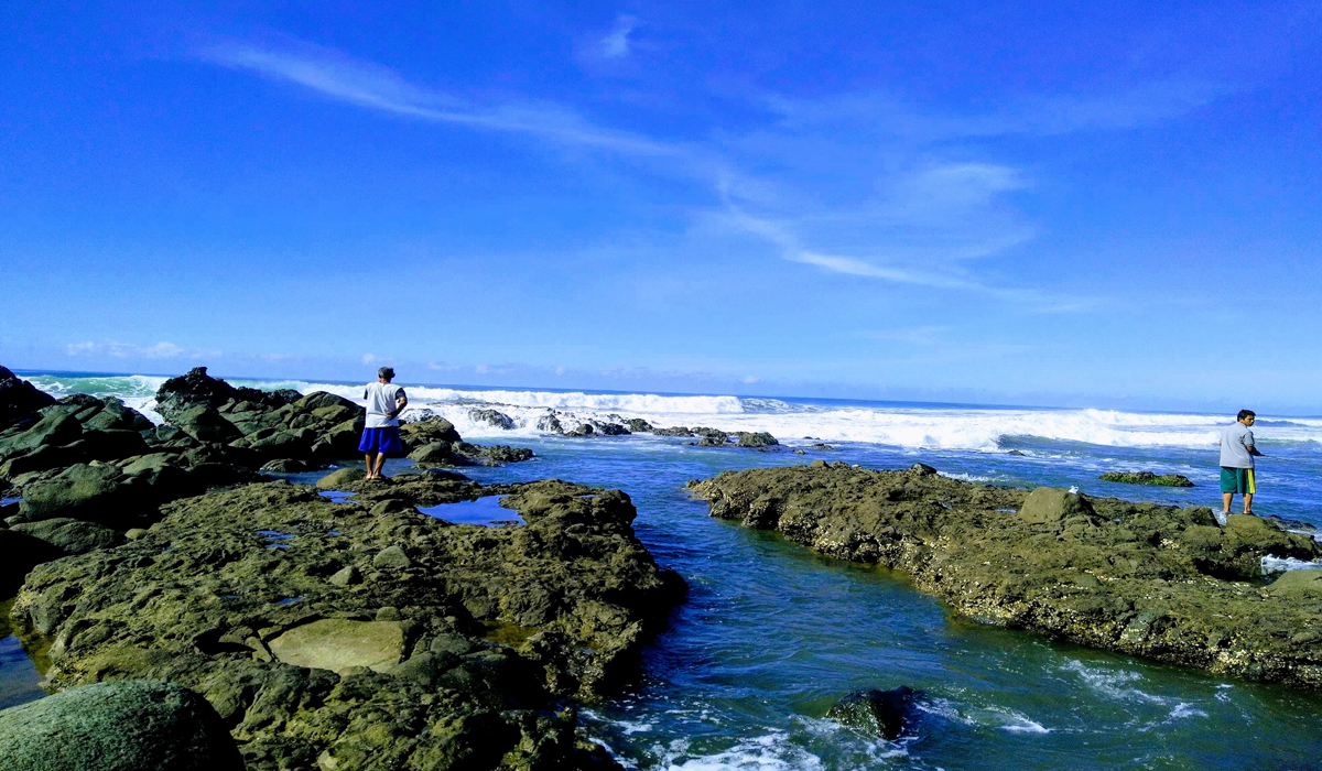 Aktivitas Menarik di Pantai Jayanti