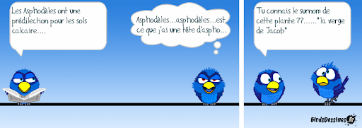 [JEUDI] - Les Birds - [ARCHIVES 01] - Page 6 2021-09-09-b-01