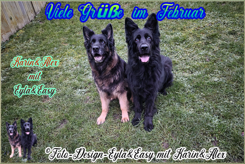 Viele-Grusse-im-Februar-GB-20-02-2026