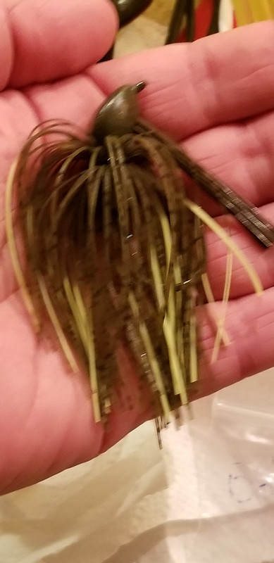 20190216-223950.jpg