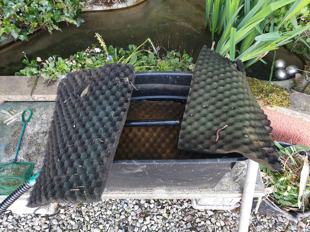 20200426_110812