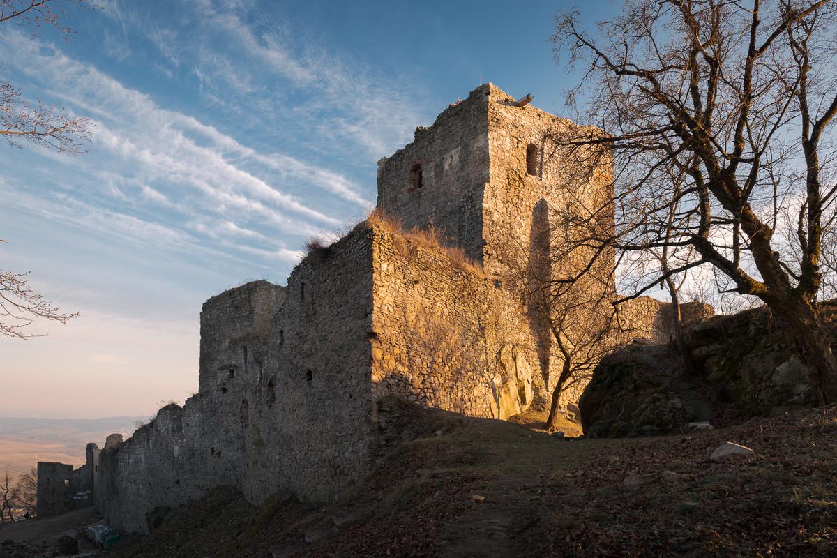 Obrázek