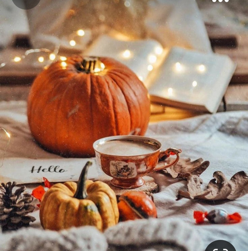 Screenshot_20231031_172623_Pinterest