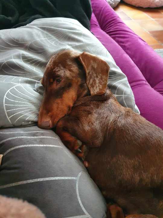 [Image: Resized-IMG-20221030-WA0000.jpg]