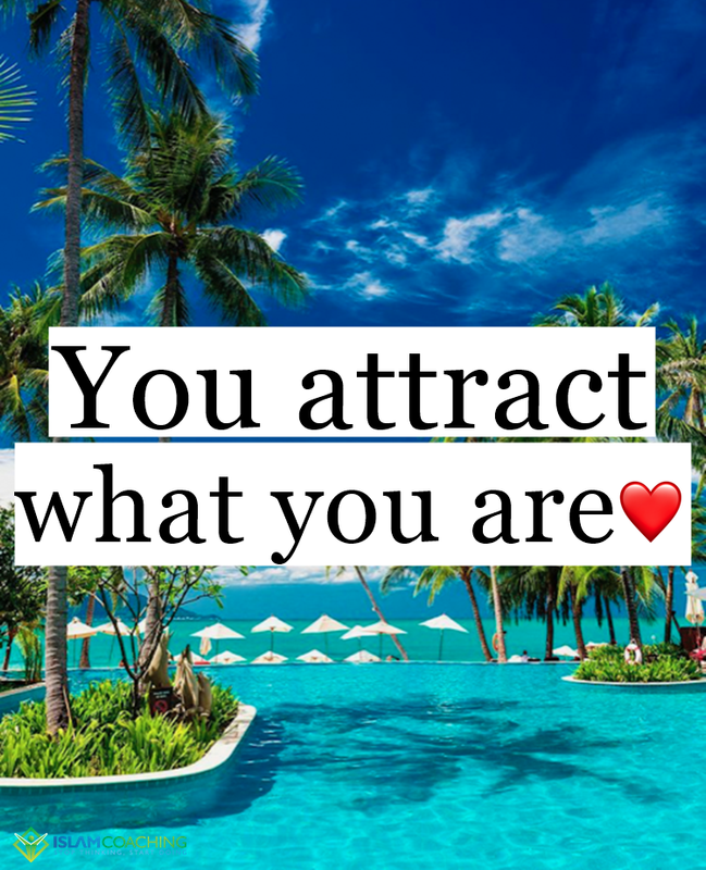 8CD0369C-B84D-4099-AFDA-5A283FE36CD4