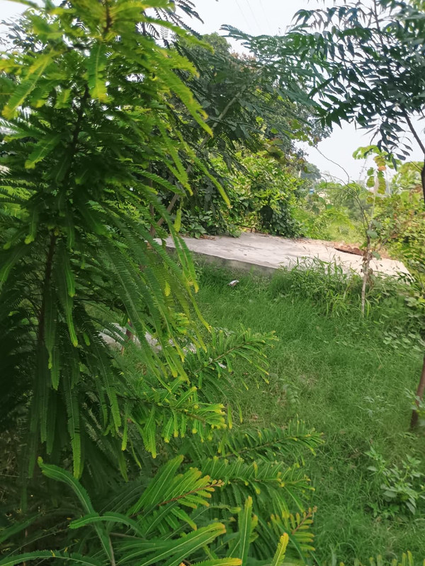 Whats App Image 2025 11 07 at 14 42 34 2