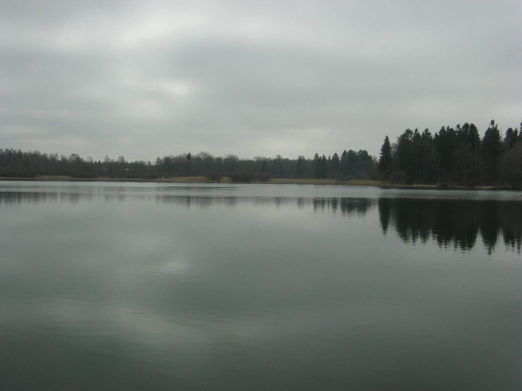 весна, Ропша