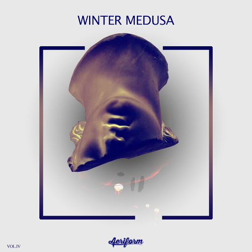 VA - Winter Medusa  Vol. 4 WEB (2019) .mp3 -320 Kbps
