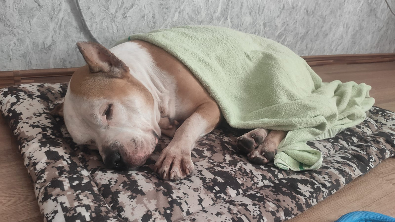 CA8217DA-5950-4A3A-819B-FAAF27931C30