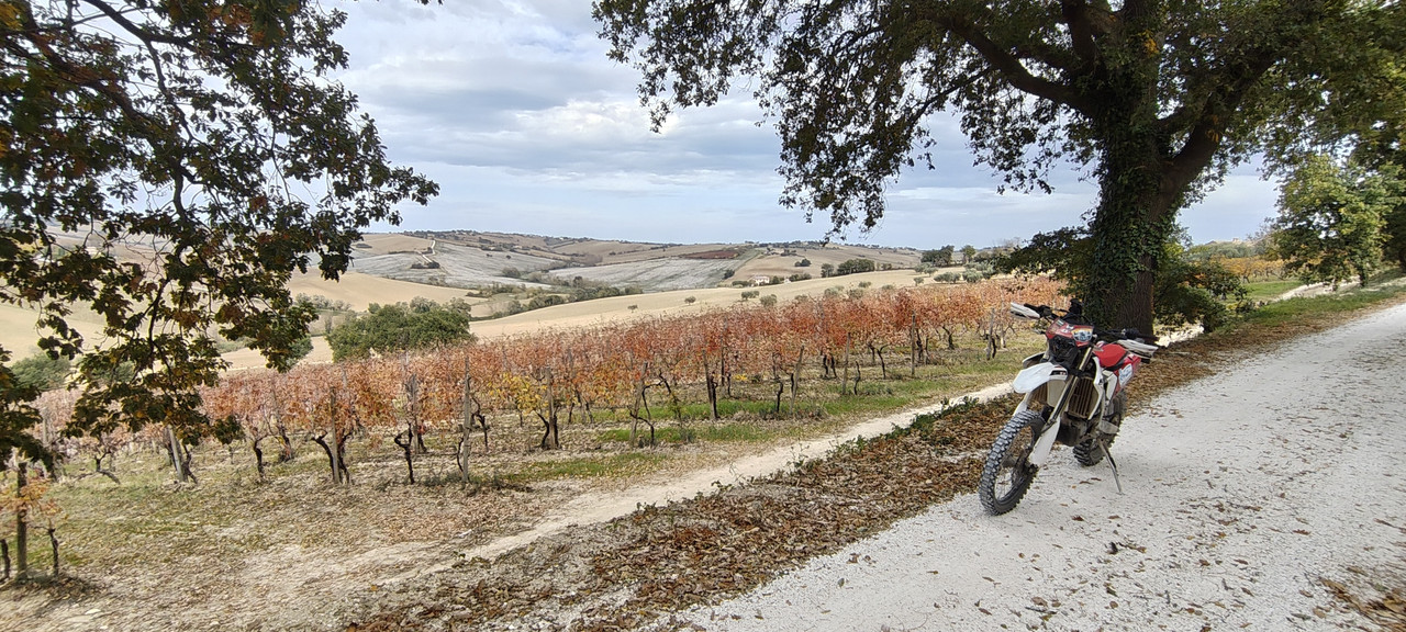 IMG 20251030 110455451