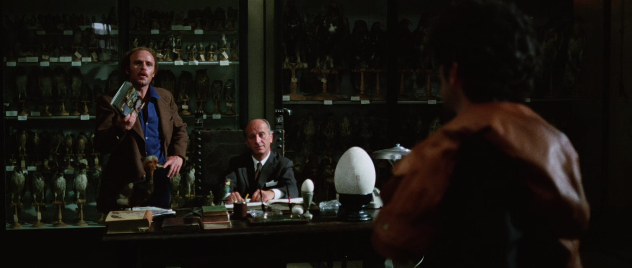 The Bird with the Crystal Plumage (1970) (1080p x265 r00t)-2