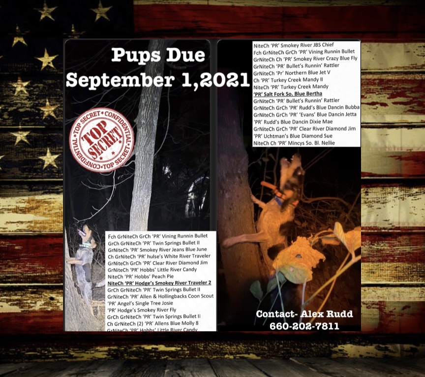 F2AA94A7-69A3-428C-AB76-525475AB6B3C