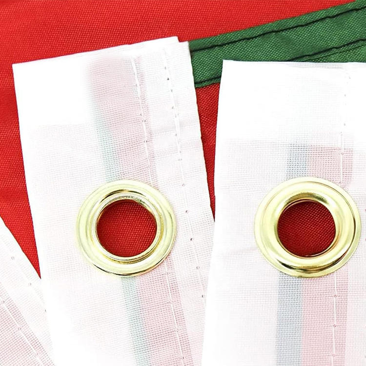 Palestine Flag Close Up