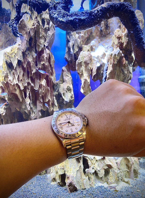 6907FF1D-D3E9-4940-9907-21D811FA4F95