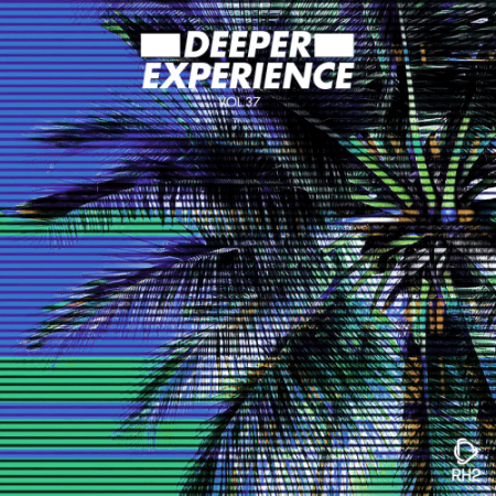 VA - Deeper Experience Vol.37 (2022)