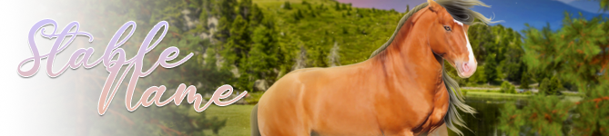 Mountain-Pony-BANNER