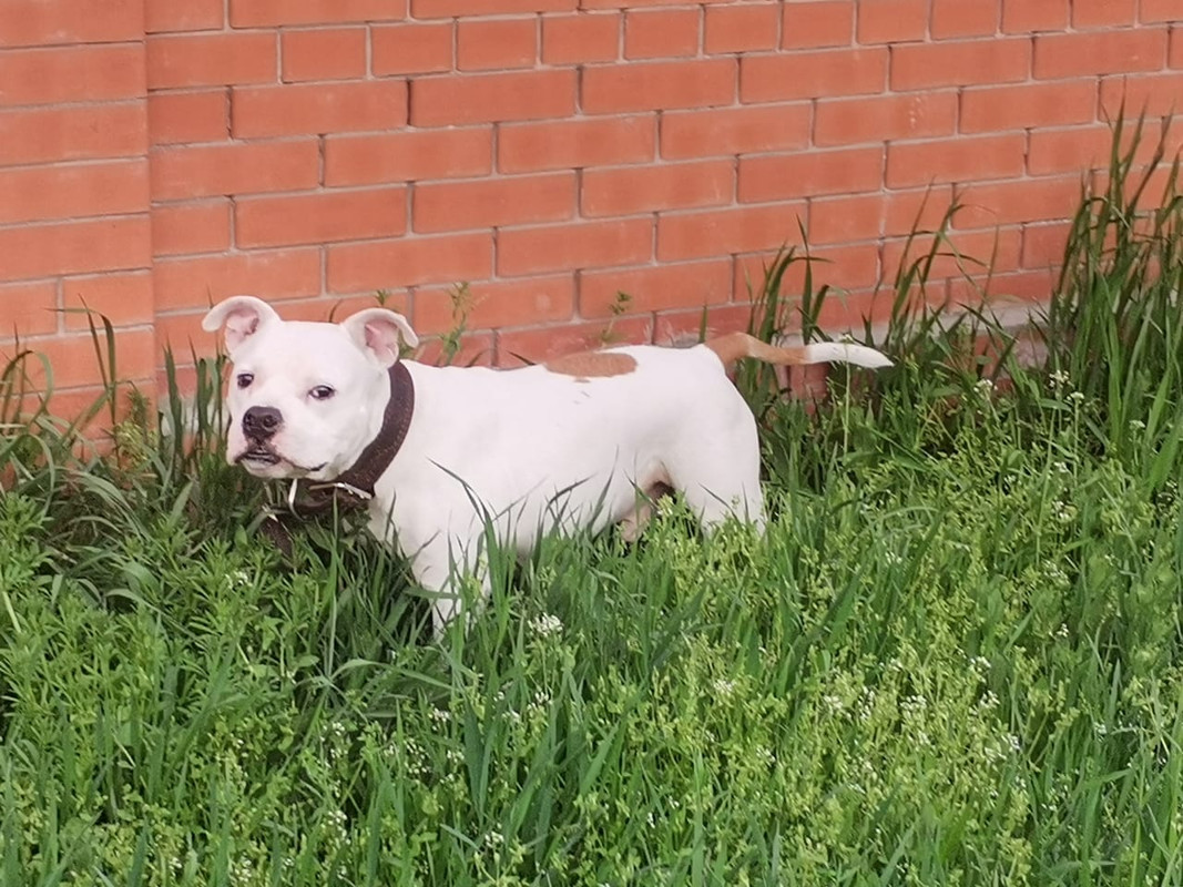 1DBE23FA-2190-4E5C-8F2F-A007F960DA57