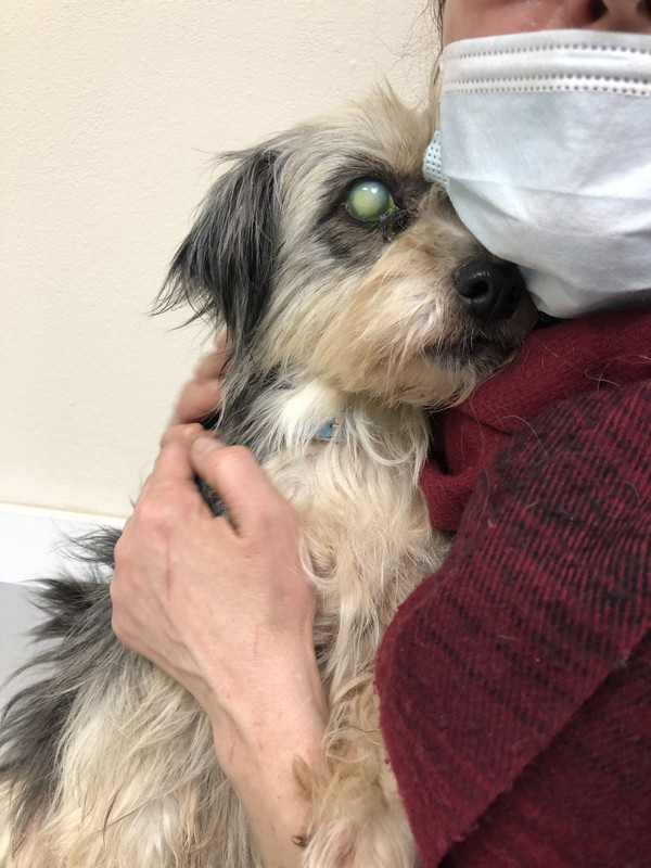 3D57EFB8-6BA0-4DC0-A6A2-0131C9221F92