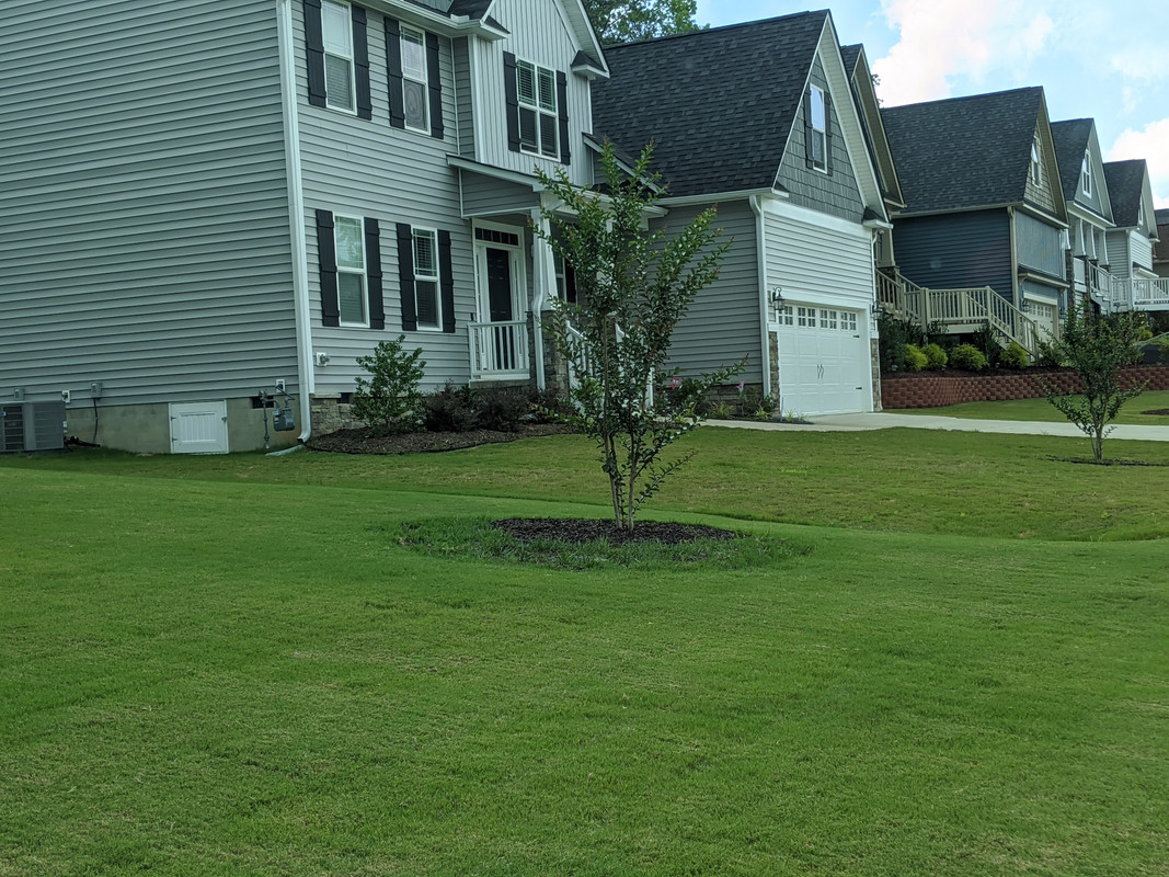 MVIMG_20200619_154352