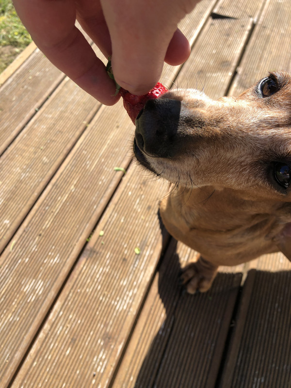 [Image: IMG-3372.jpg]