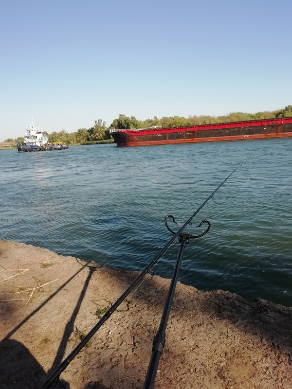 Изображение 1772