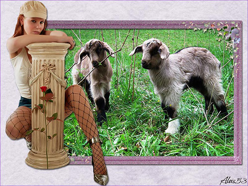 2geitjes-in-kader-met-vrouw