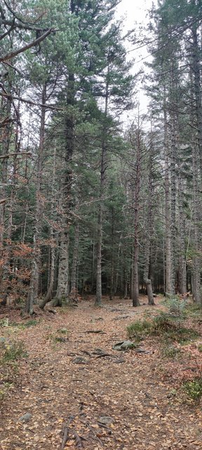 **Día 4 (31 de octubre): Gorgas de Alba y Brujas de Laspaúles - Pirineo Aragonés (1)