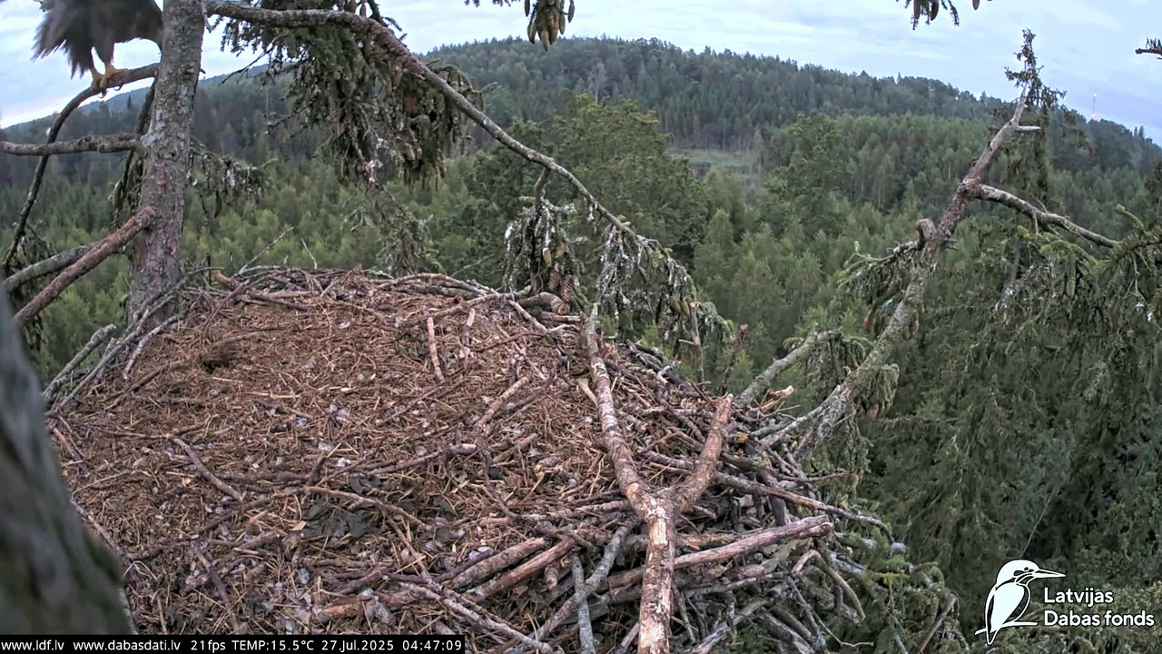 vlcsnap-2025-07-27-04h45m03s856