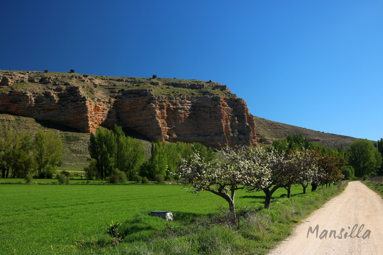 Hoces-del-Riaza-0871