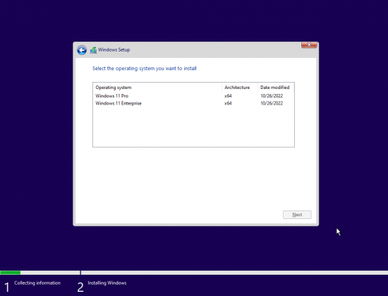 Windows 11 Pro & Enterprise 21H2 Build 22000.1165 Insider Preview x64 October 2022 PreActivated (...